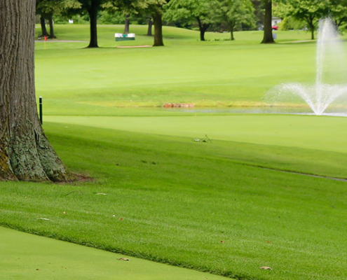 Man playing golf